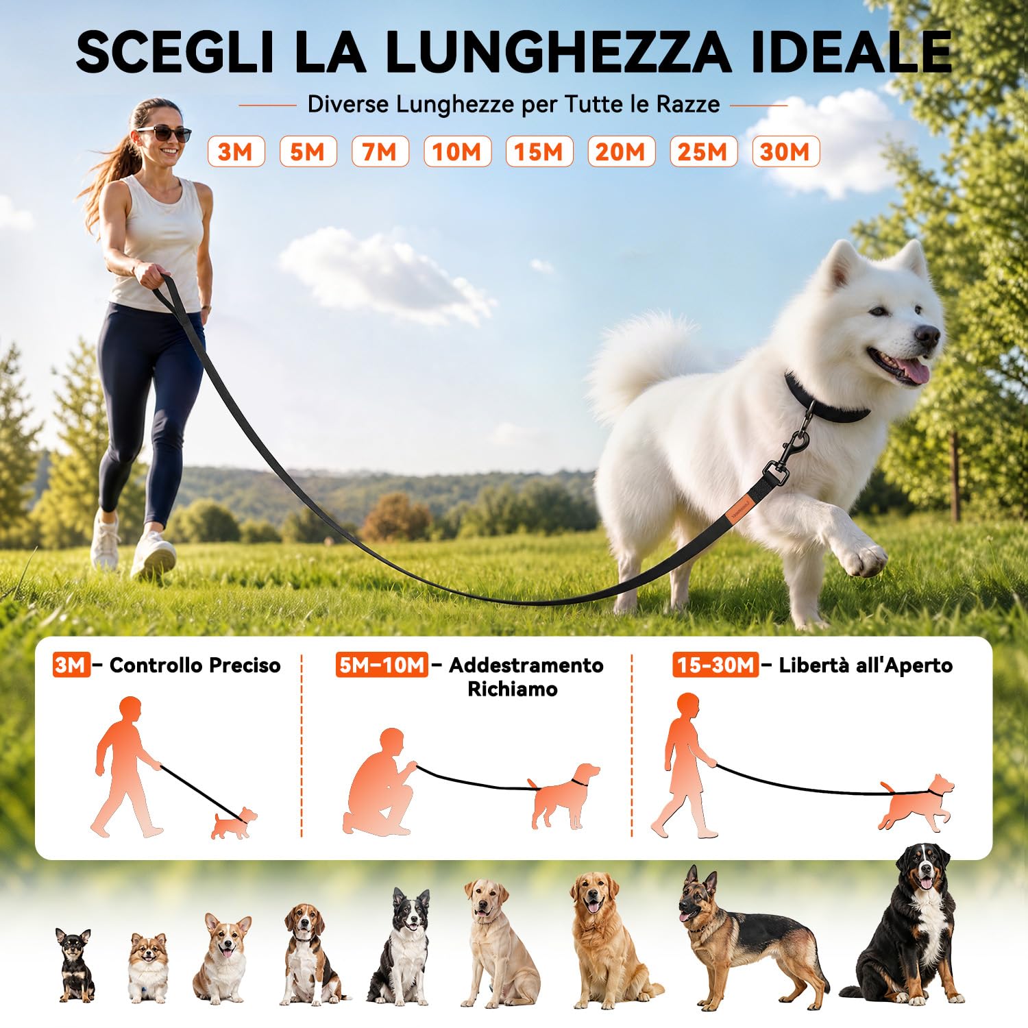Looxmeer Guinzaglio Addestramento cane nero in nylon