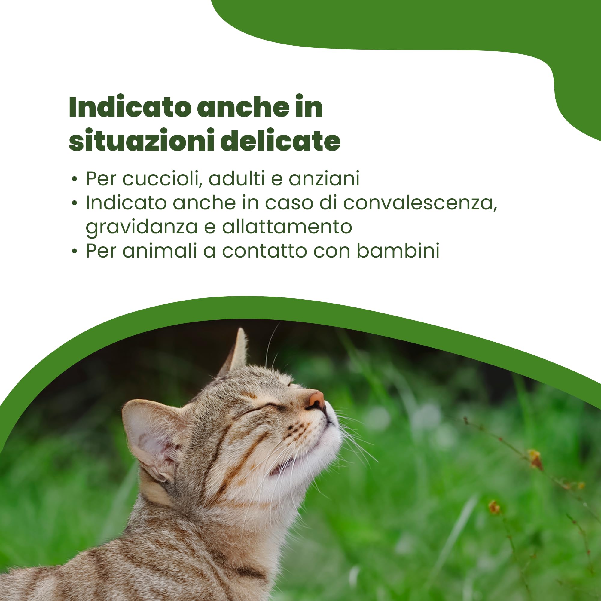 Camon Protection Spot-On gatto 5 fiale neem 2 ml