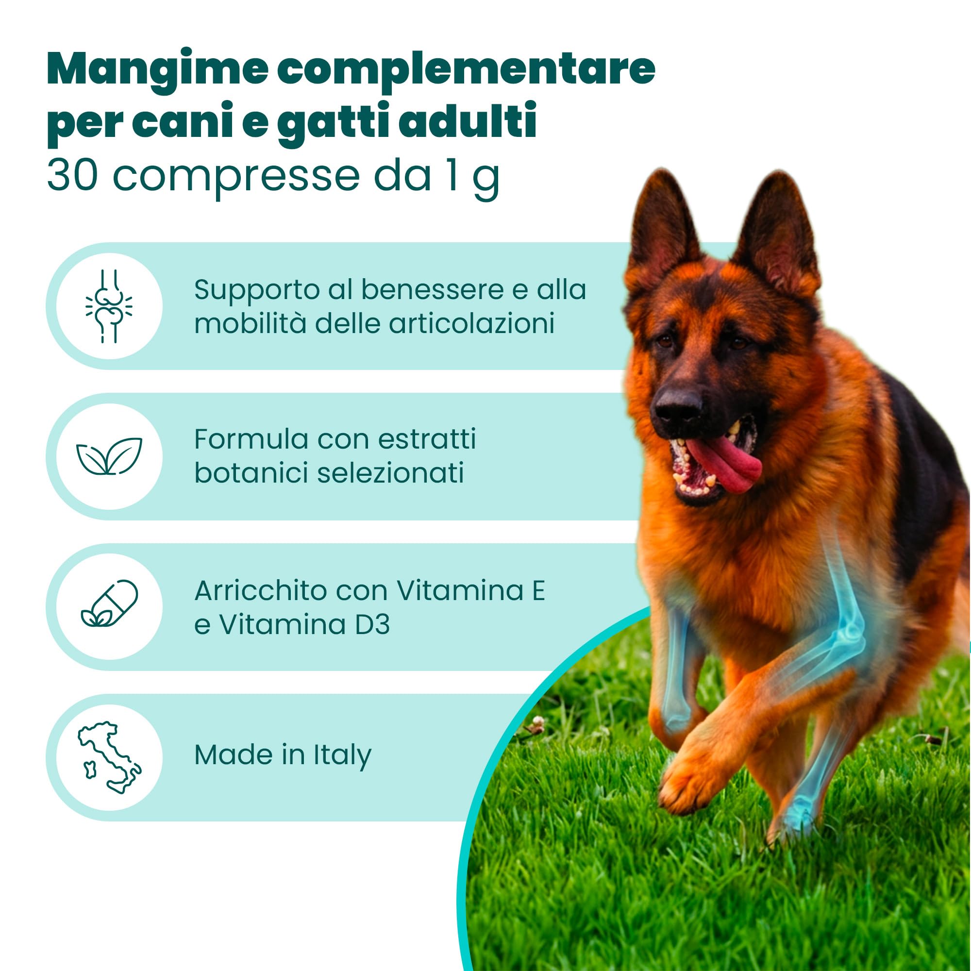 Camon Artosalus Articolazioni Cani Gatti 30 Compresse