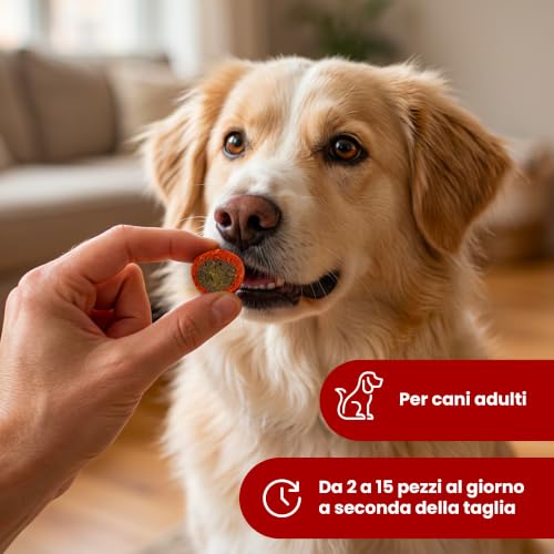 Camon Mini Snacks Mix dischi pollame snack cane 500 g