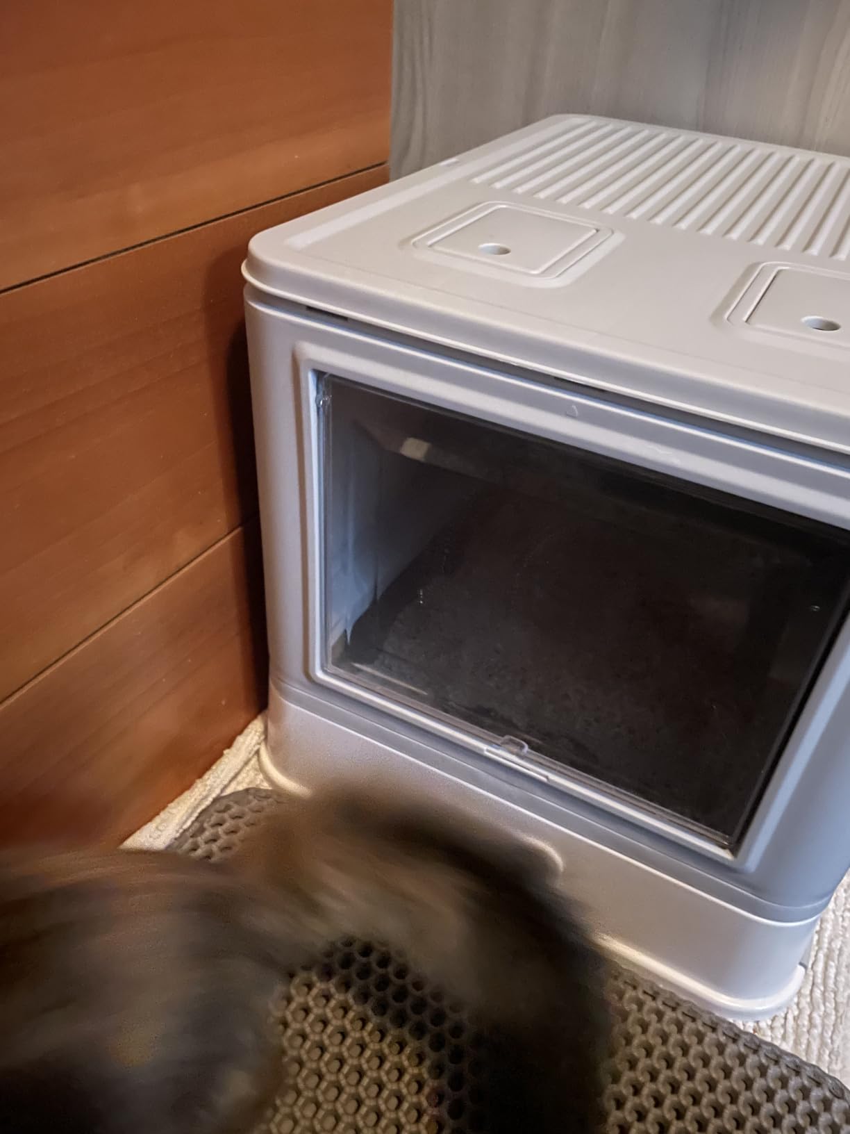Marchul lettiera chiusa acciaio inox ingresso frontale con paletta