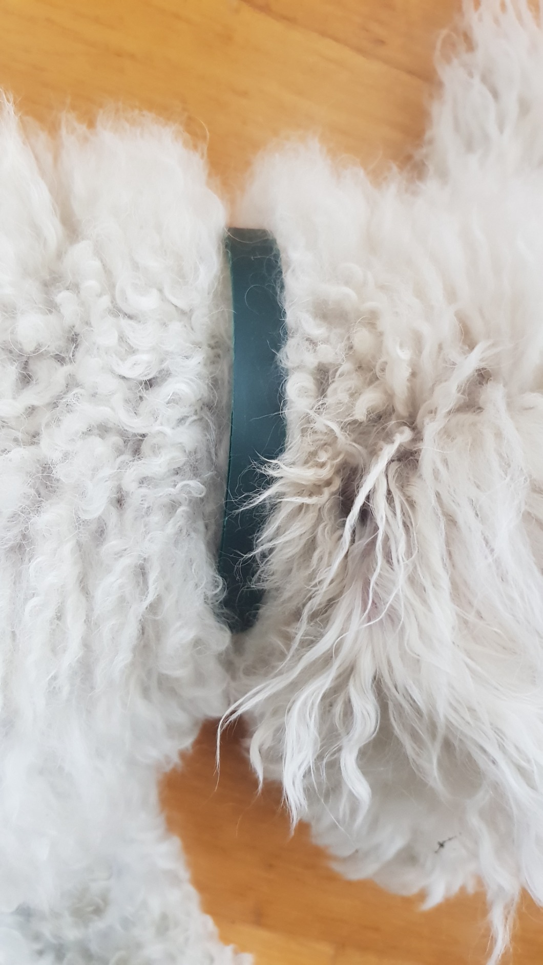 Camon salviette detergenti cani e gatti neem 40 pezzi