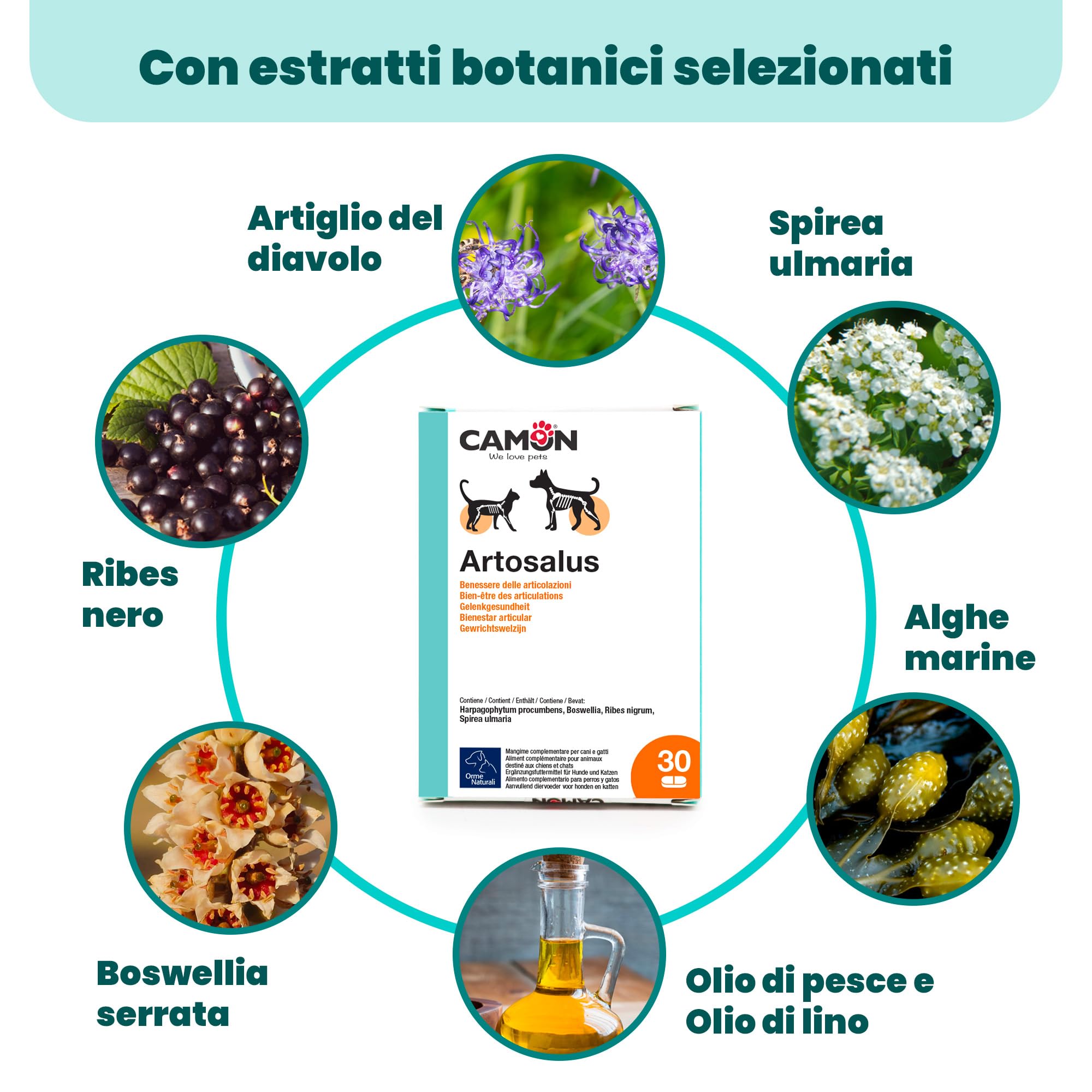 Camon Artosalus Articolazioni Cani Gatti 30 Compresse