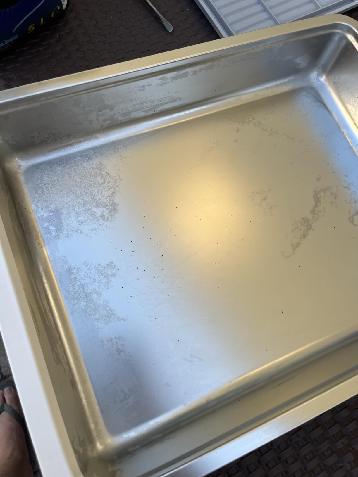 Marchul lettiera chiusa acciaio inox ingresso frontale con paletta
