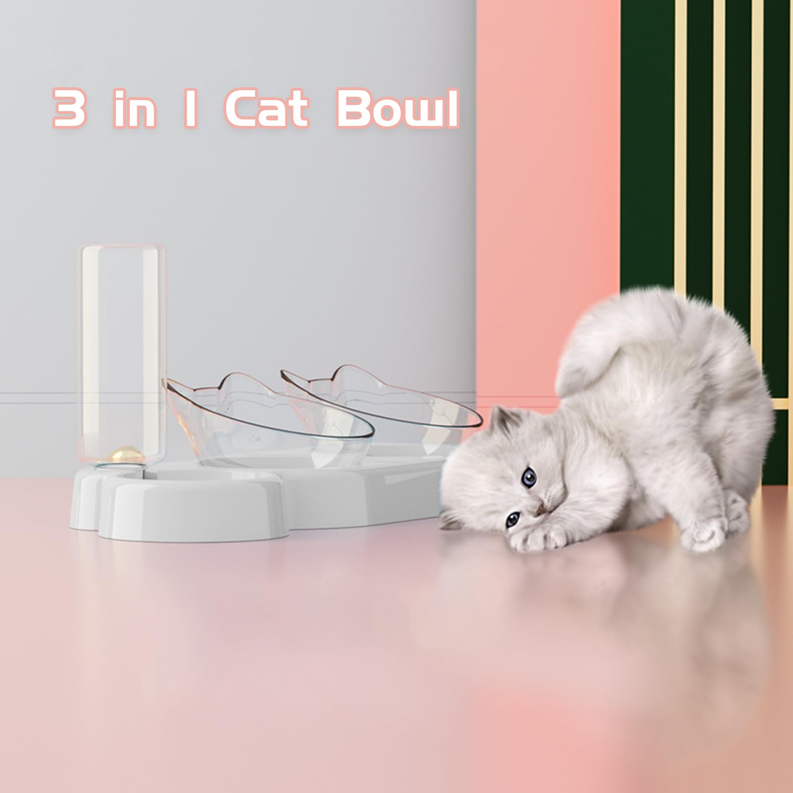Marchul Ciotole doppie + Borraccia gatti acciaio 15°