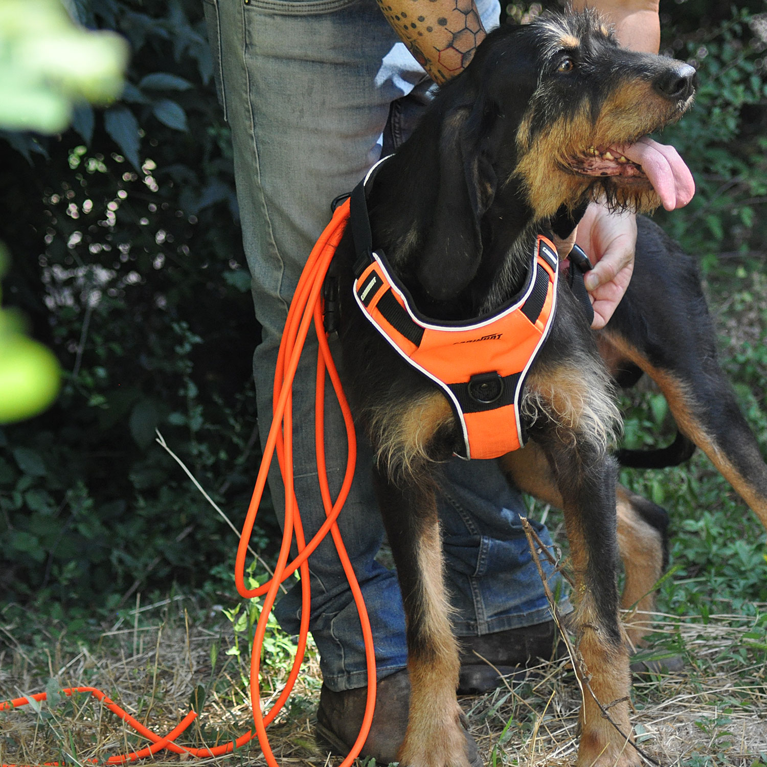 Canihunt X-Treme lunghina cane PVC arancione 10 m