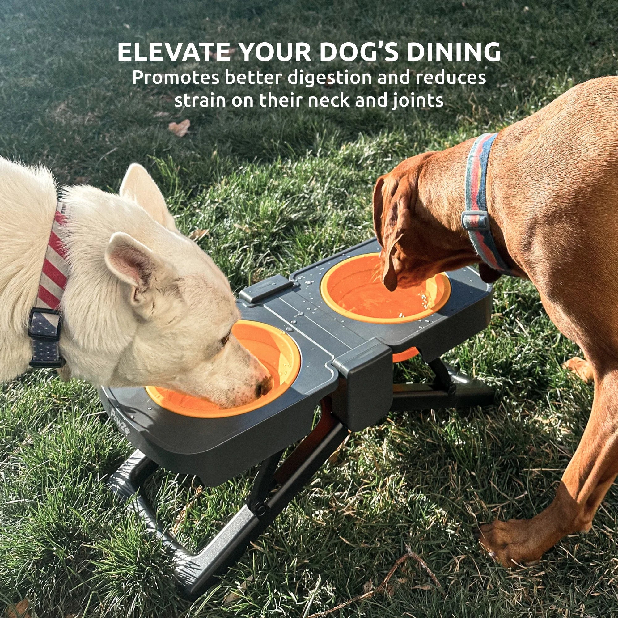 PawZ Elevated Travel Feeder ciotola viaggio rialzata 2x1200 ml