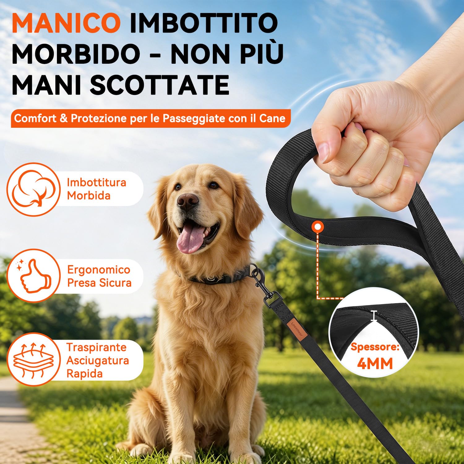 Looxmeer Guinzaglio Addestramento cane nero in nylon