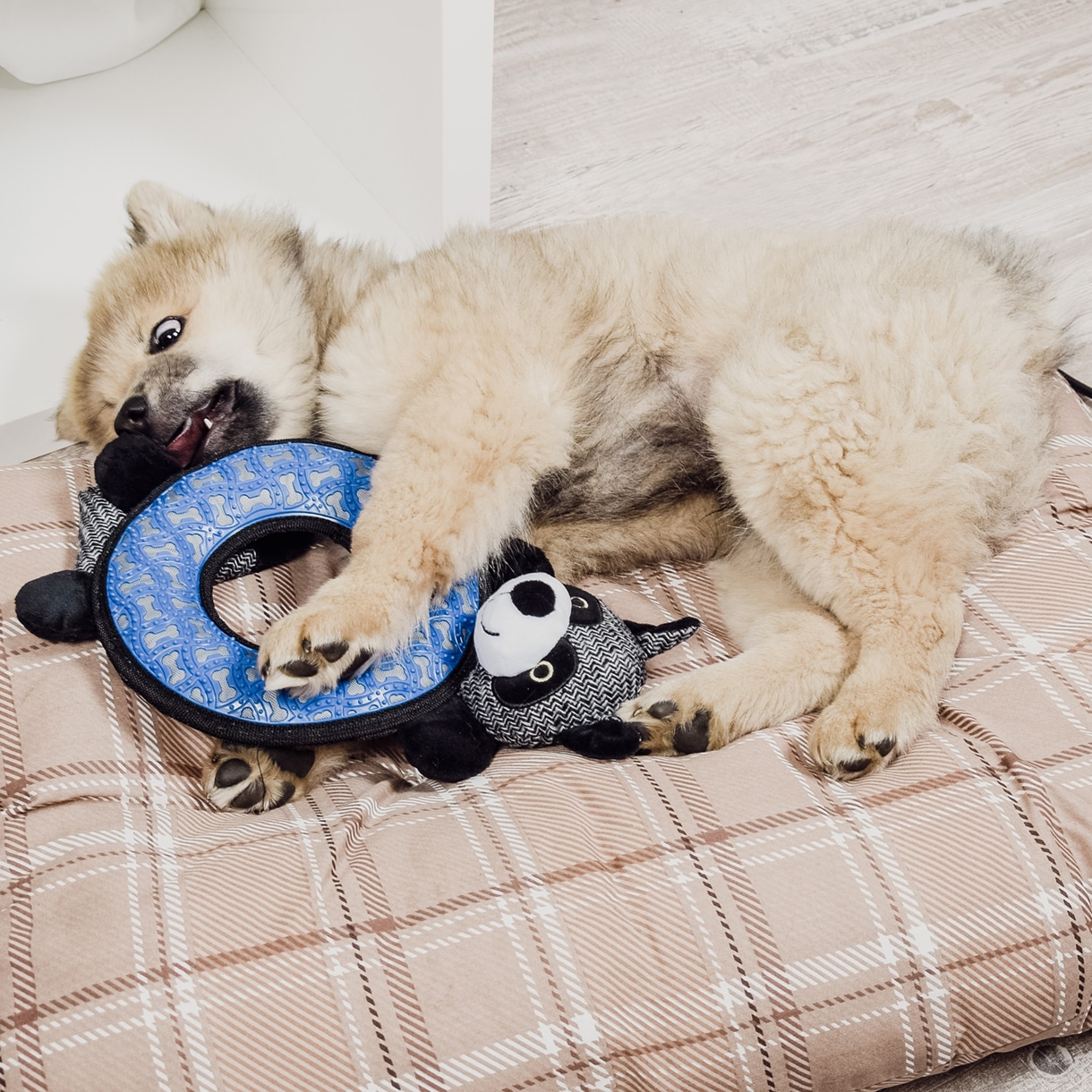 Ne&No Procione Peluche per Cani 47 cm con squeak
