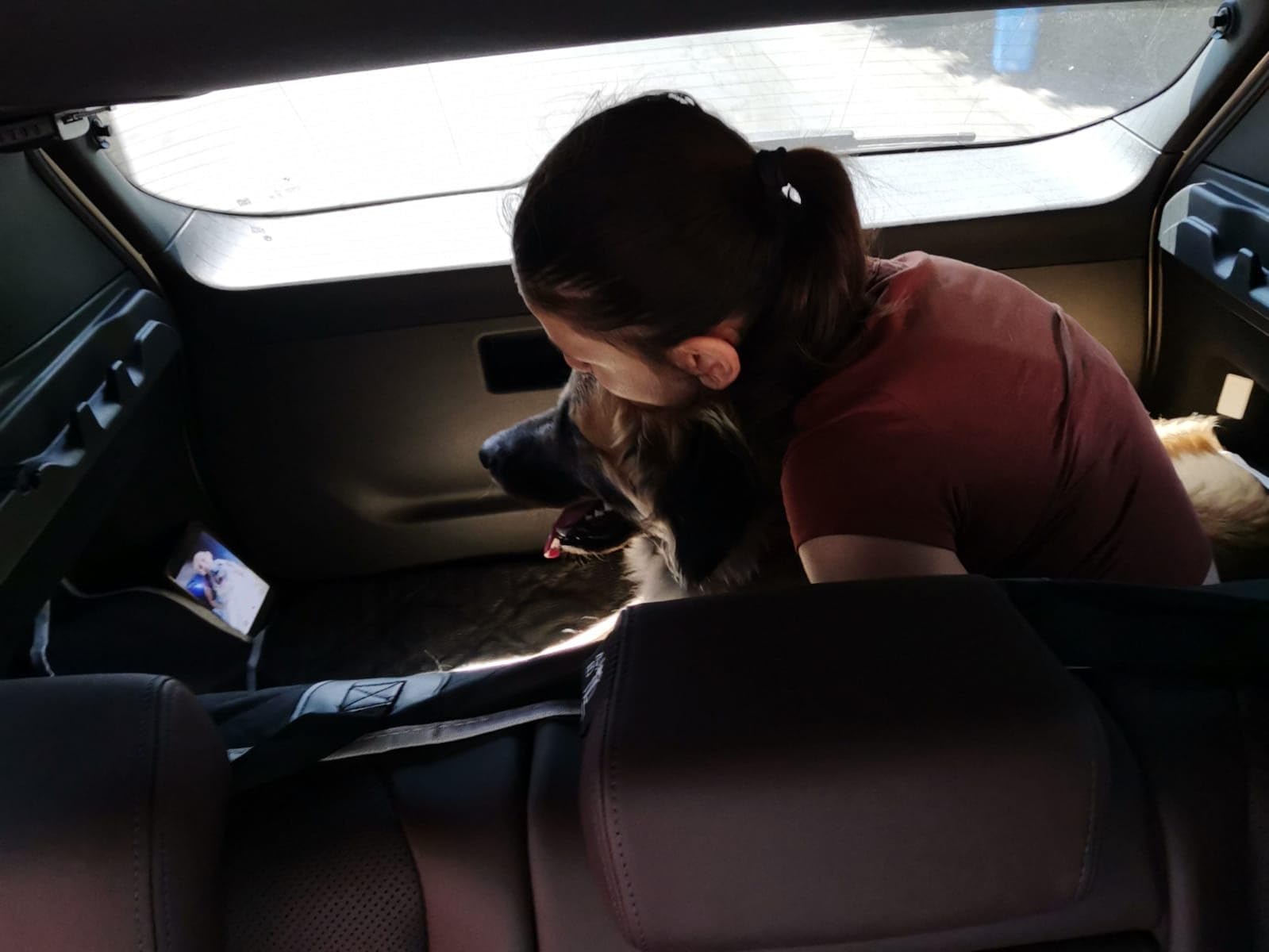 Looxmeer telo bagagliaio auto cani 185x103 impermeabile