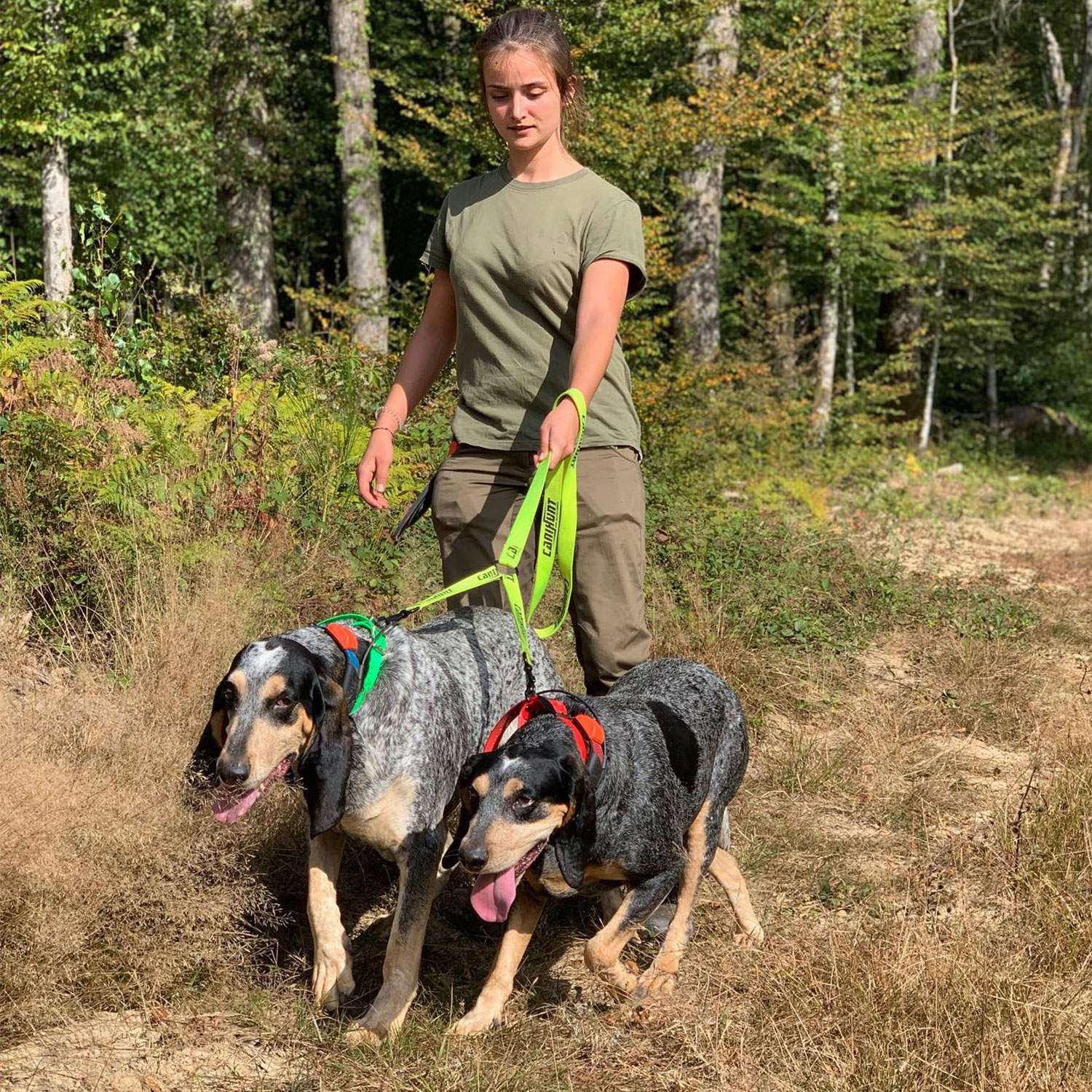 Canihunt Hunter guinzaglio doppio per cani giallo 150 cm