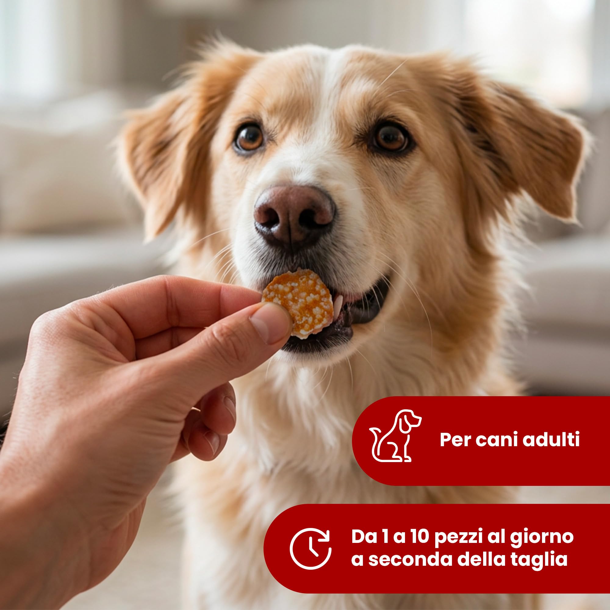 Camon Treats Snacks monetine anatra riso 80 g cane