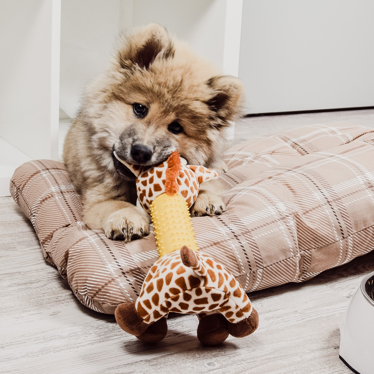 Ne&No giraffa peluche giocattolo cani 29,5 cm denti