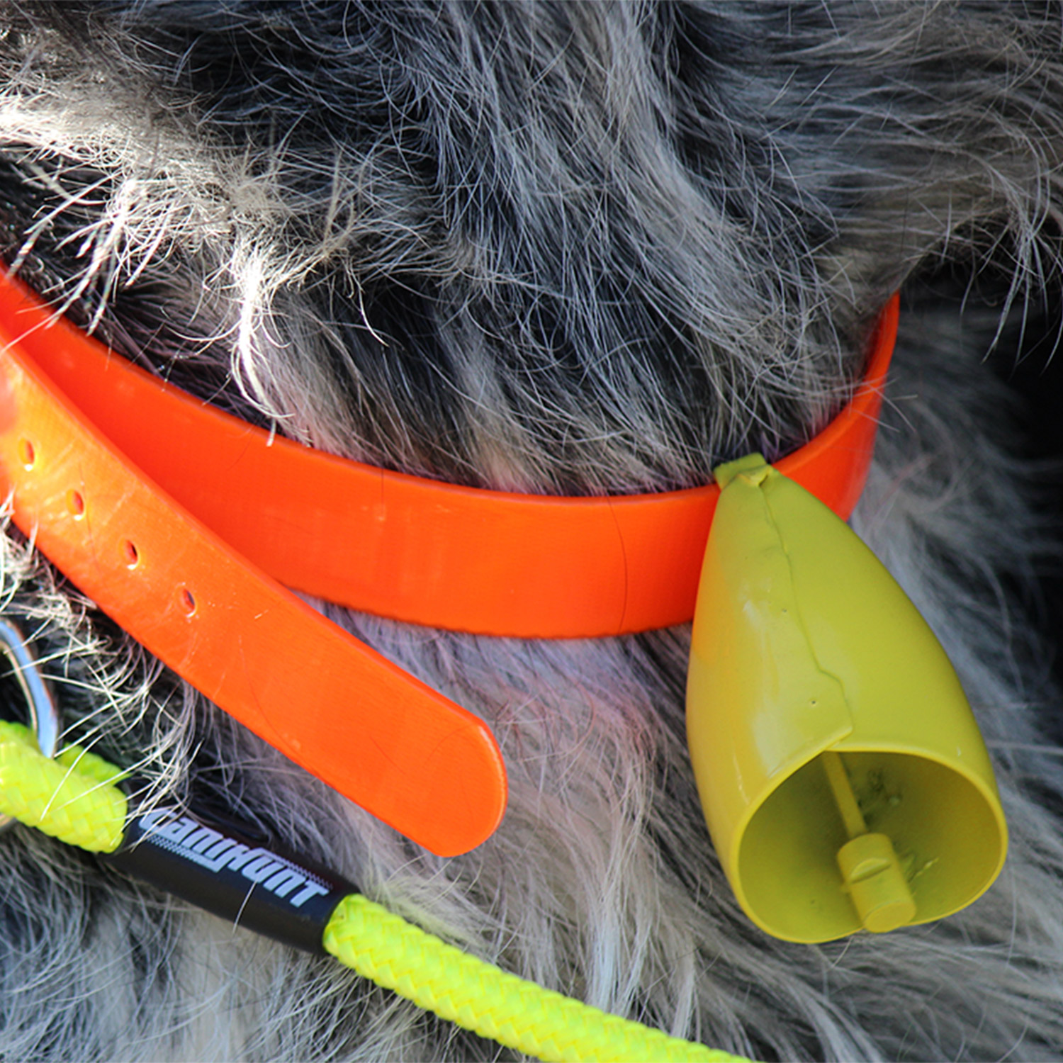 Canihunt Alp Campanaccio Cane Giallo Fluo Segugio e Ferma