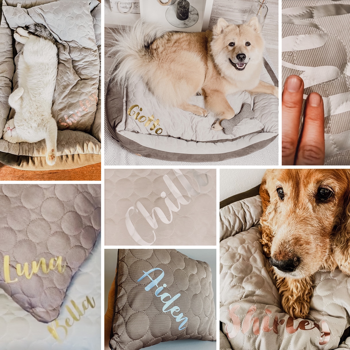 Ne&No Cuccia Reversibile Personalizzata Letto Cane Gatto Nome