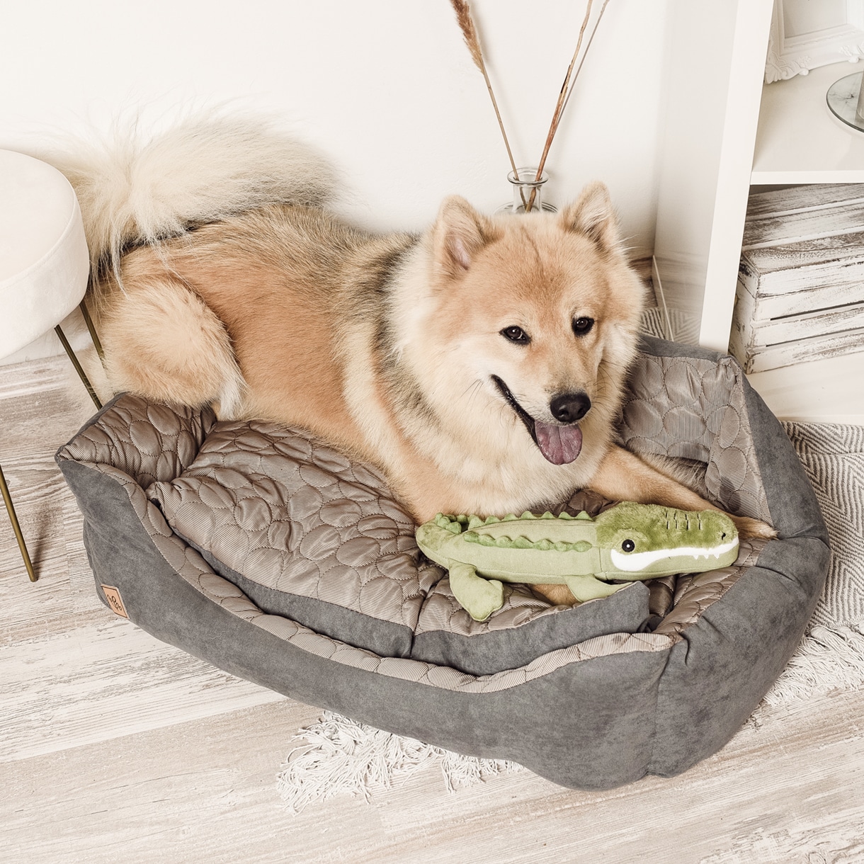 Ne&No Kris coccodrillo giocattolo cani 36 cm squittio