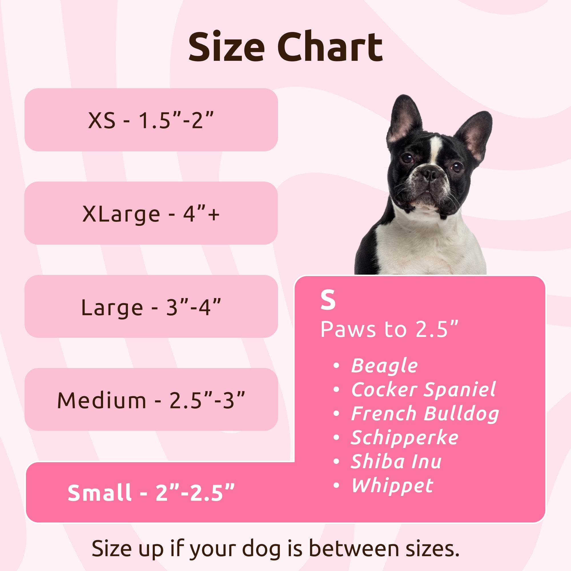 PawZ Rubber Dog Boots scarpette cane 12 pz rosa impermeabili
