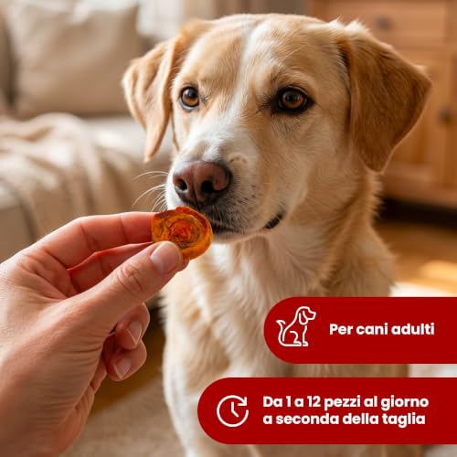 Camon Protection Treats & Snacks Monetine salmone snack cani 80 g