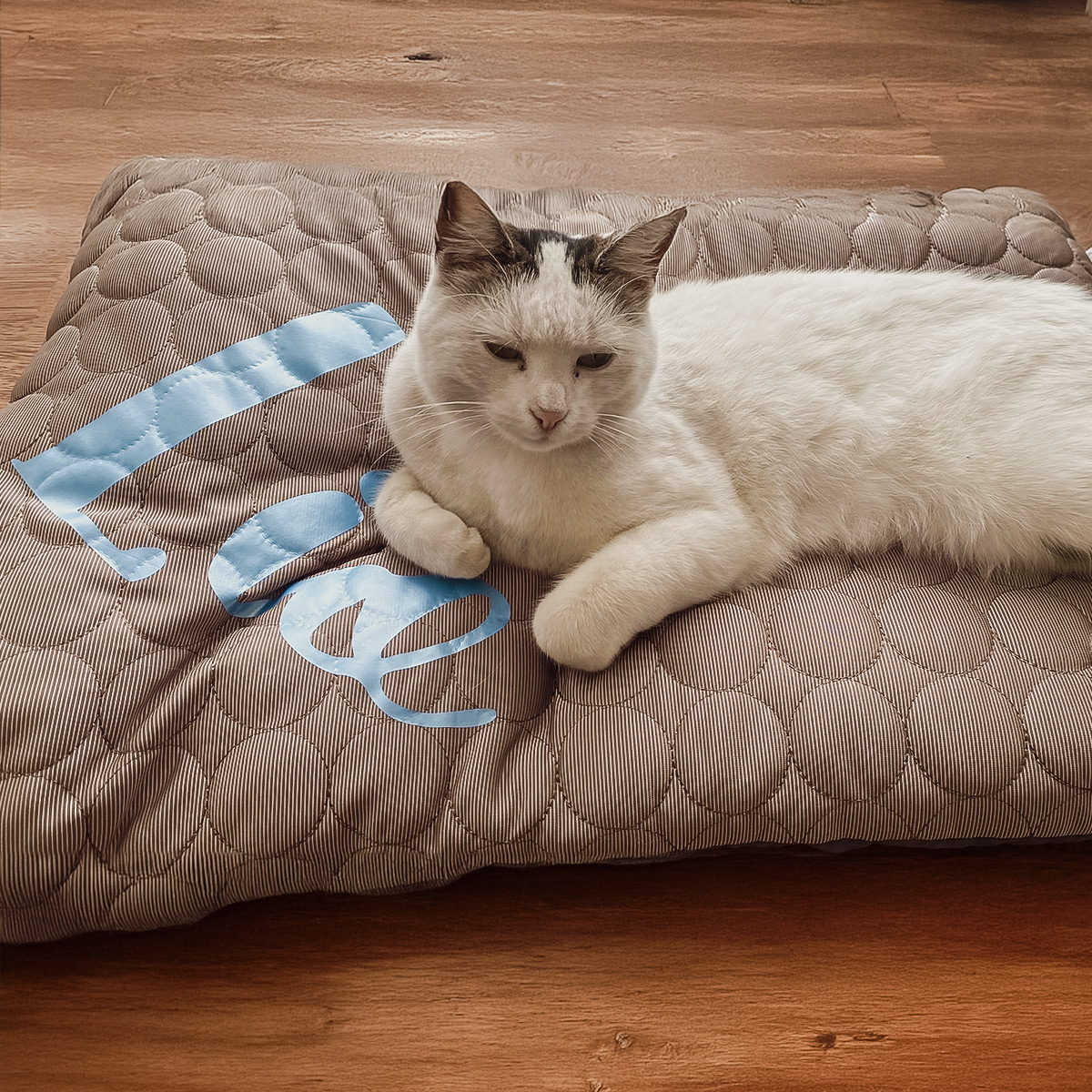 Ne&No Cuccia Reversibile Personalizzata Letto Cane Gatto Nome