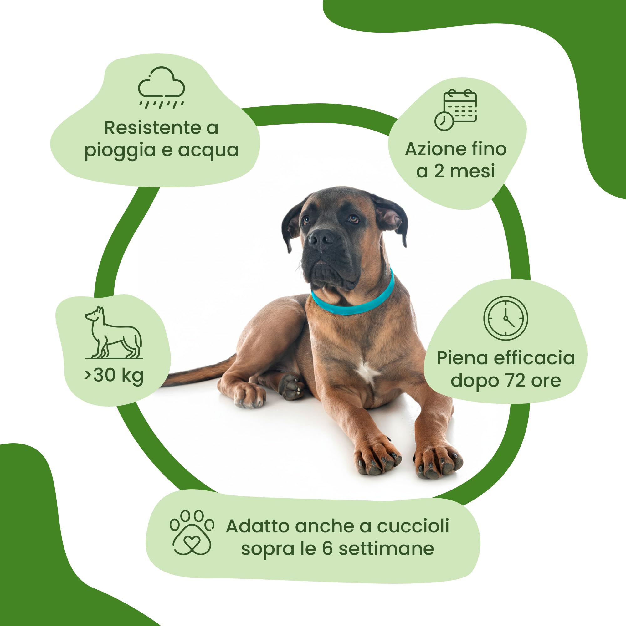 Camon Collare Protettivo Olio di Neem Cane 75 cm 1 Pezzo