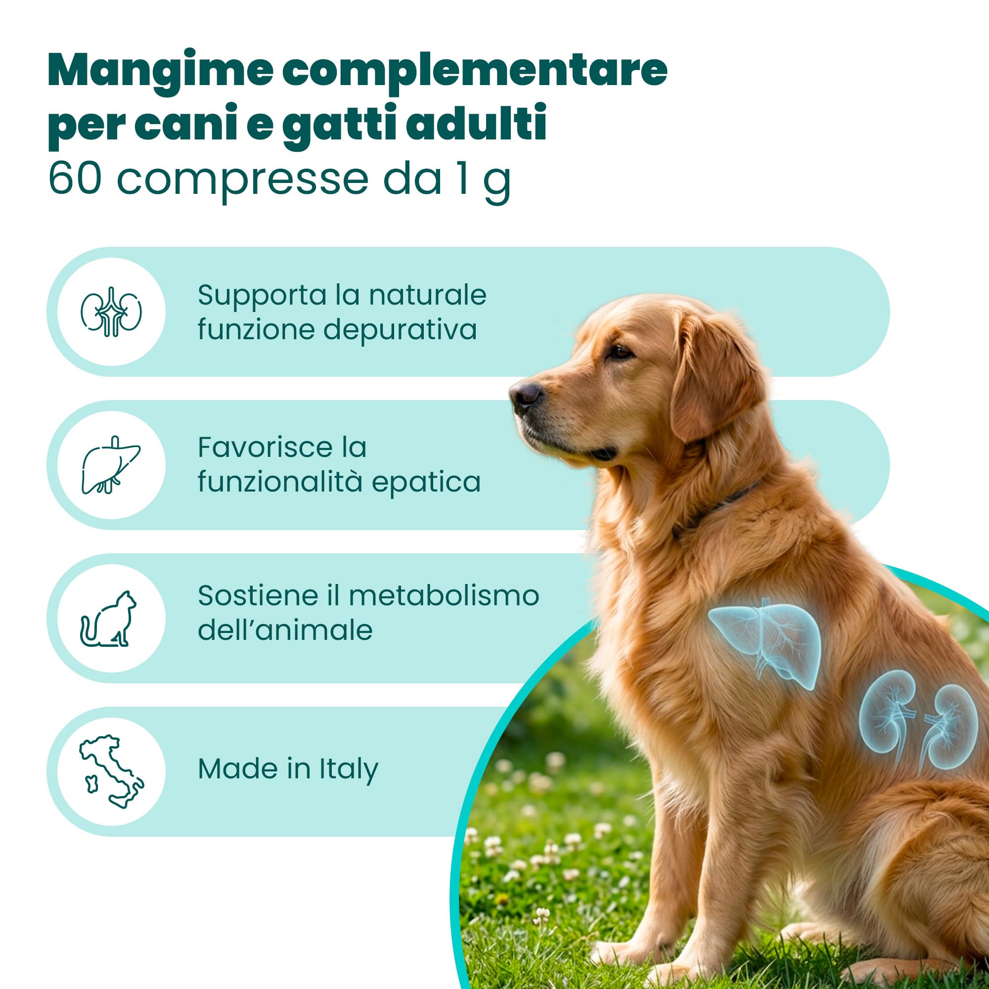 Camon Detoxivet Integratore Depurativo 60 Compresse Cani Gatti