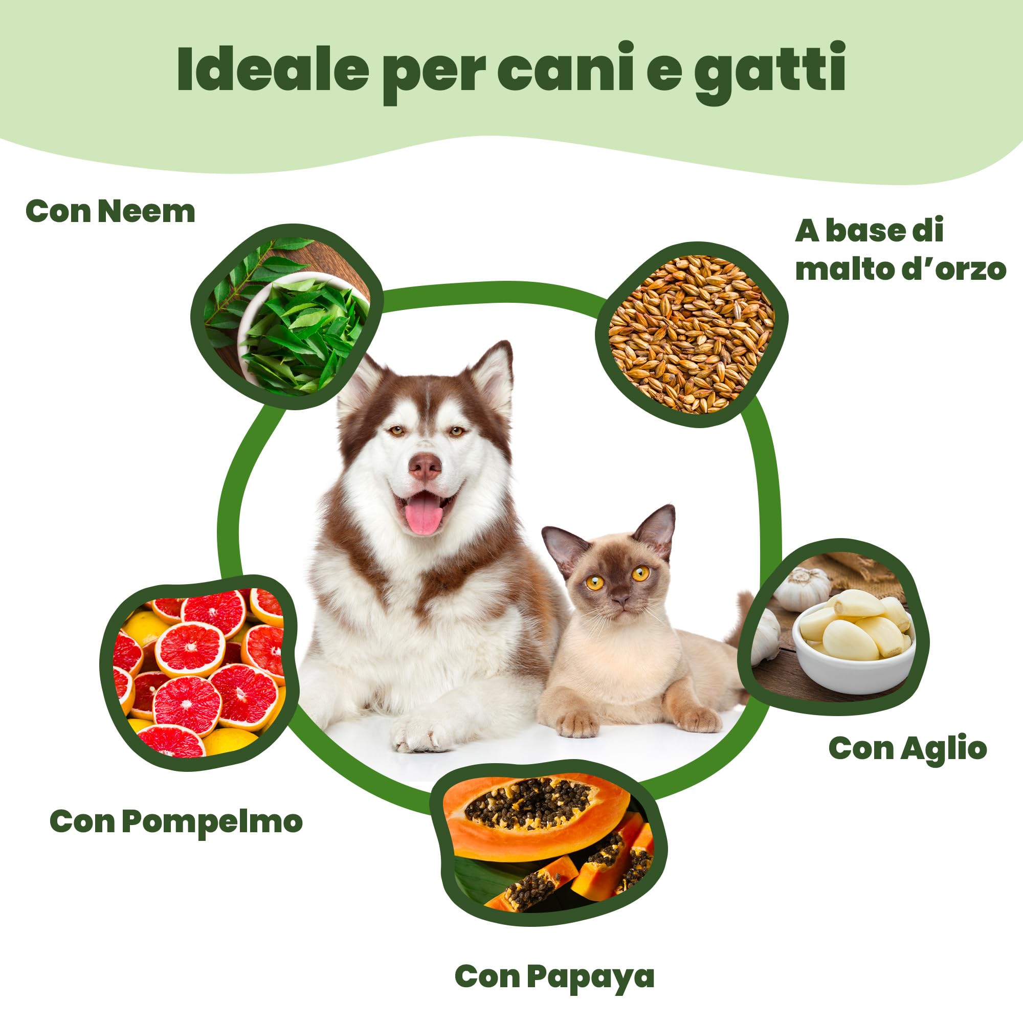 Camon Neemstop pasta per cani e gatti 10 g digestione