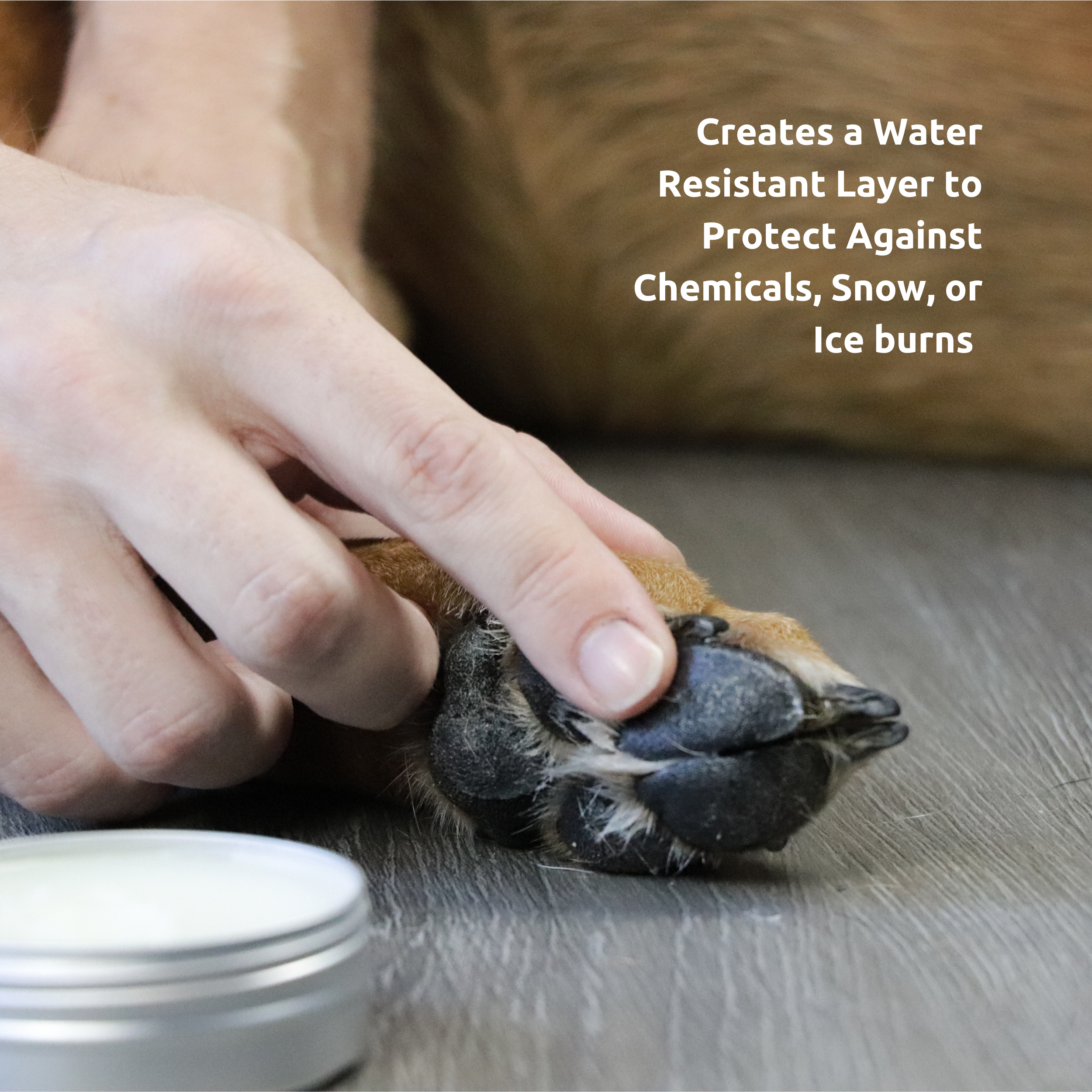 Pawz Soft Paws Kit cura zampe balsamo MaxWax 200 g