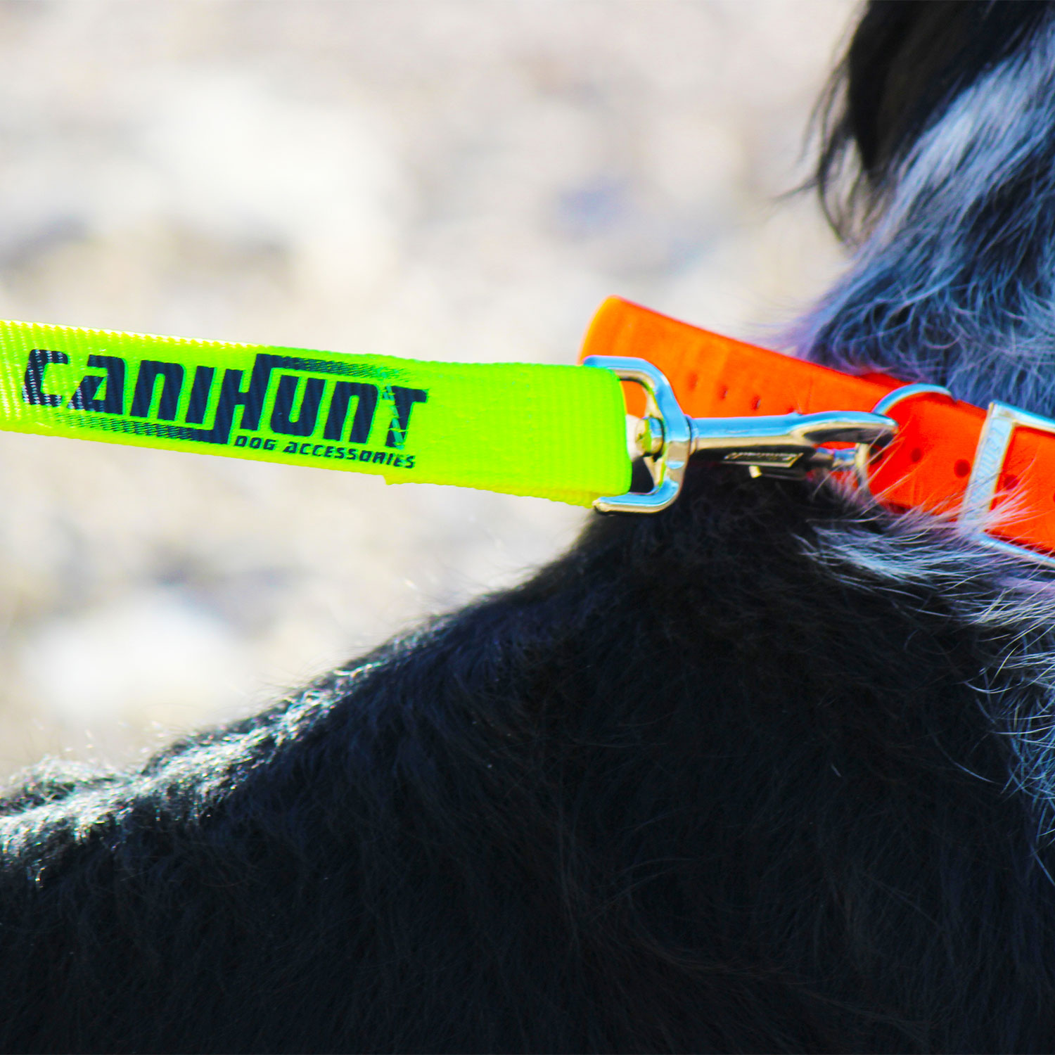 Canihunt Hunter guinzaglio cane piatto 180 cm doppio