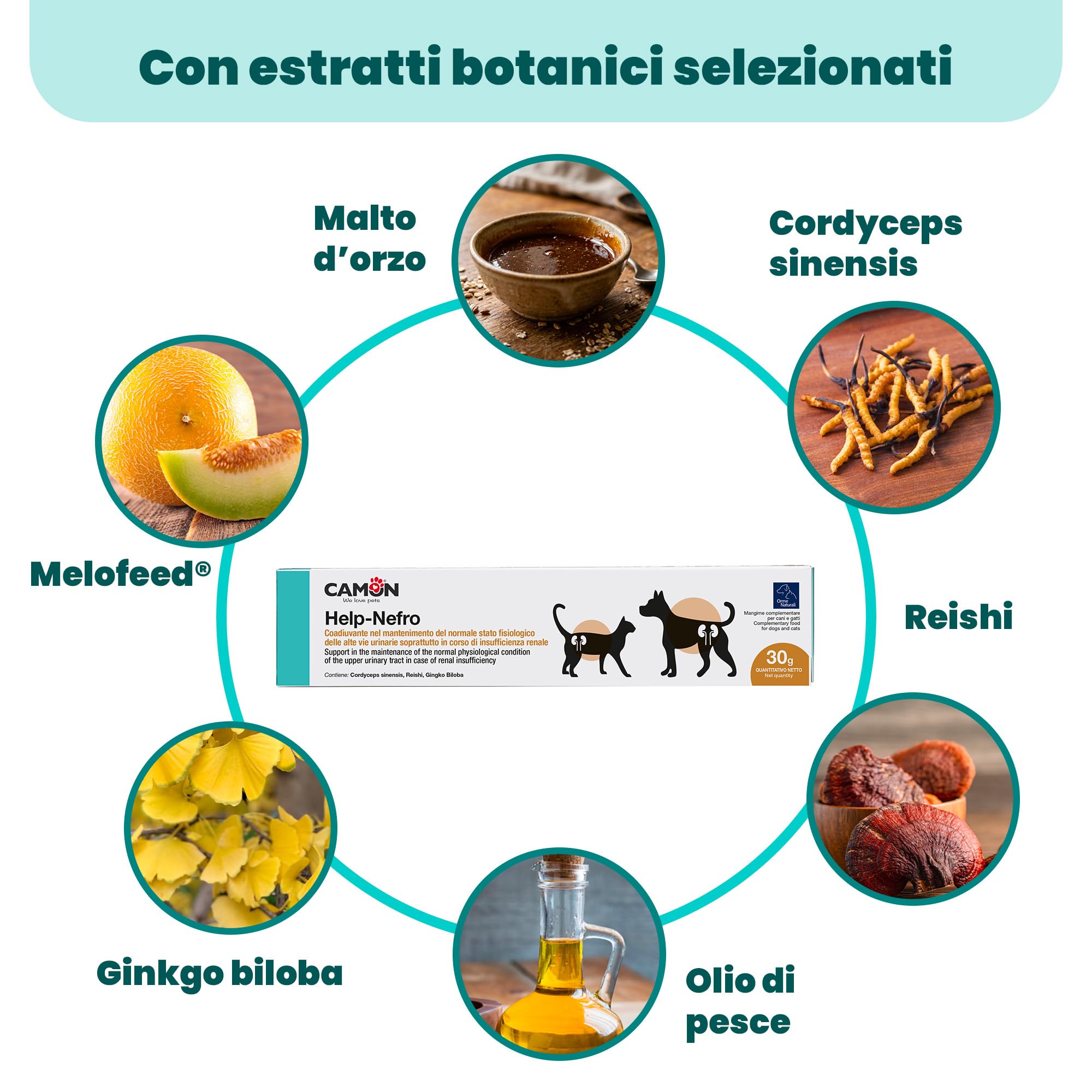 Camon Help-Nefro Pasta 30 g per Vie Urinarie