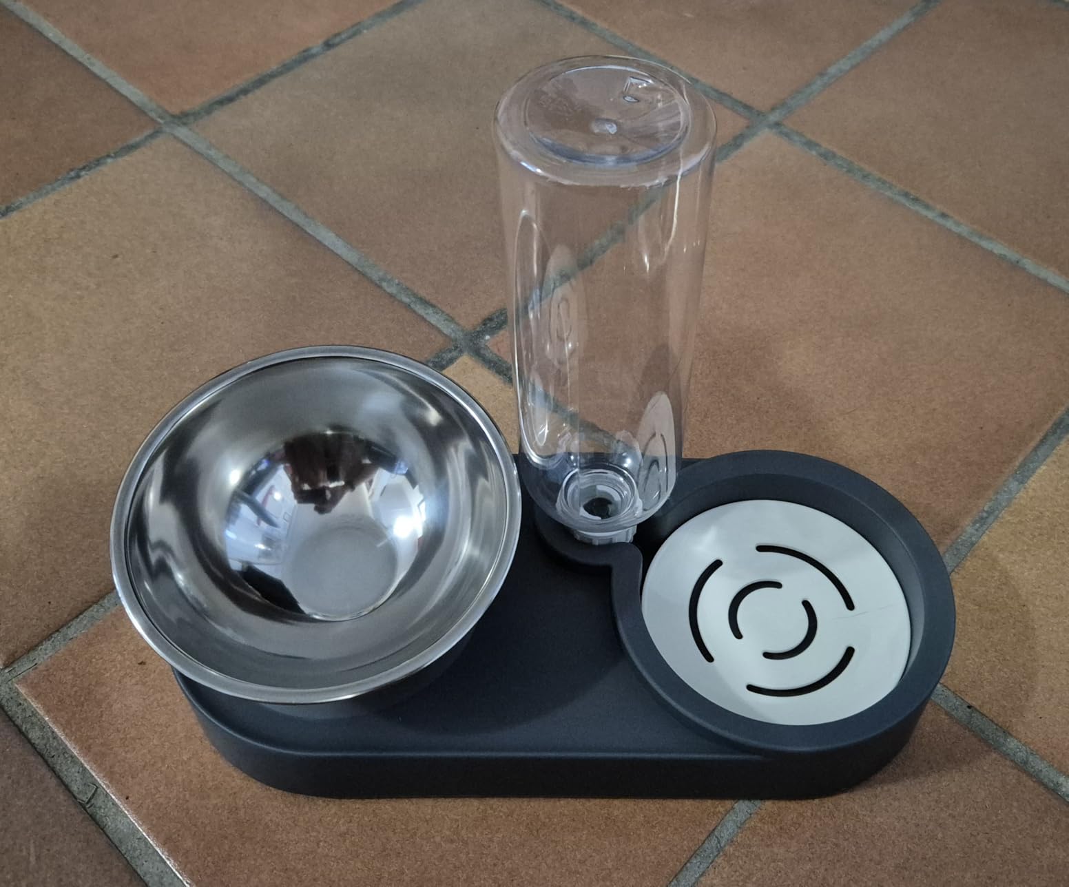 Marchul Ciotole doppie + Borraccia gatti acciaio 15°