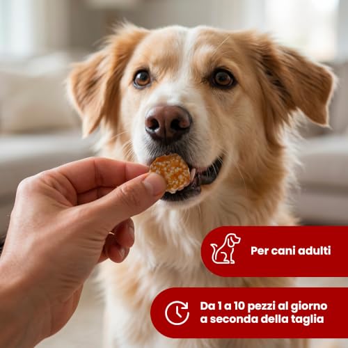Camon Treats Snacks monetine anatra riso 80 g cane