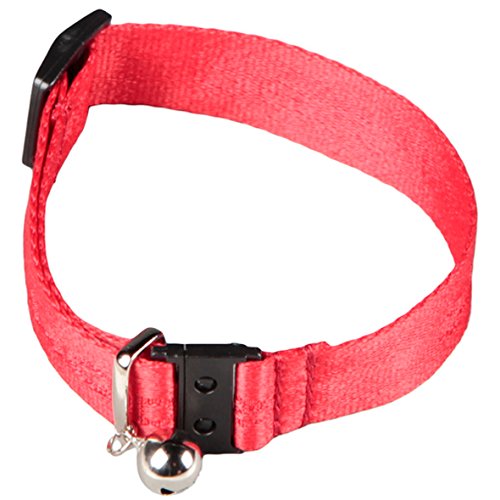 Arppe 230302025004 Sport collare gatto nylon marrone campanello