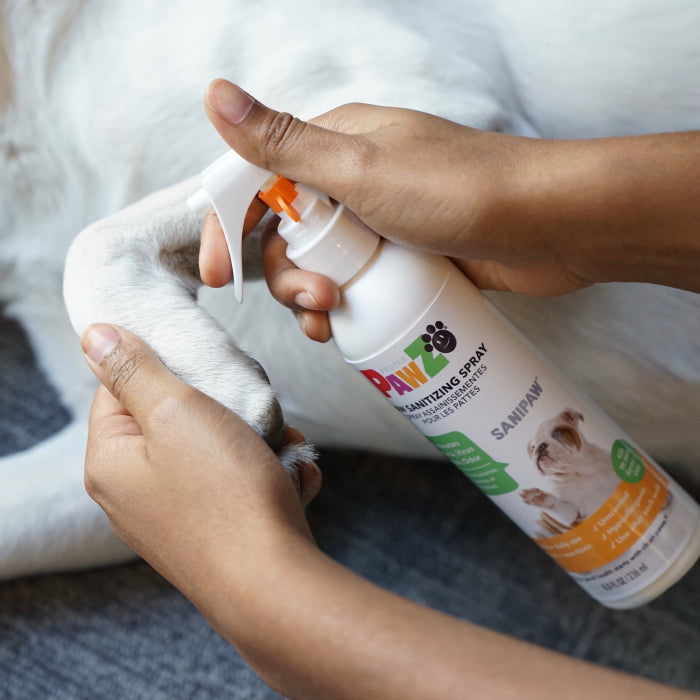 Pawz Soft Paws Kit cura zampe balsamo MaxWax 200 g