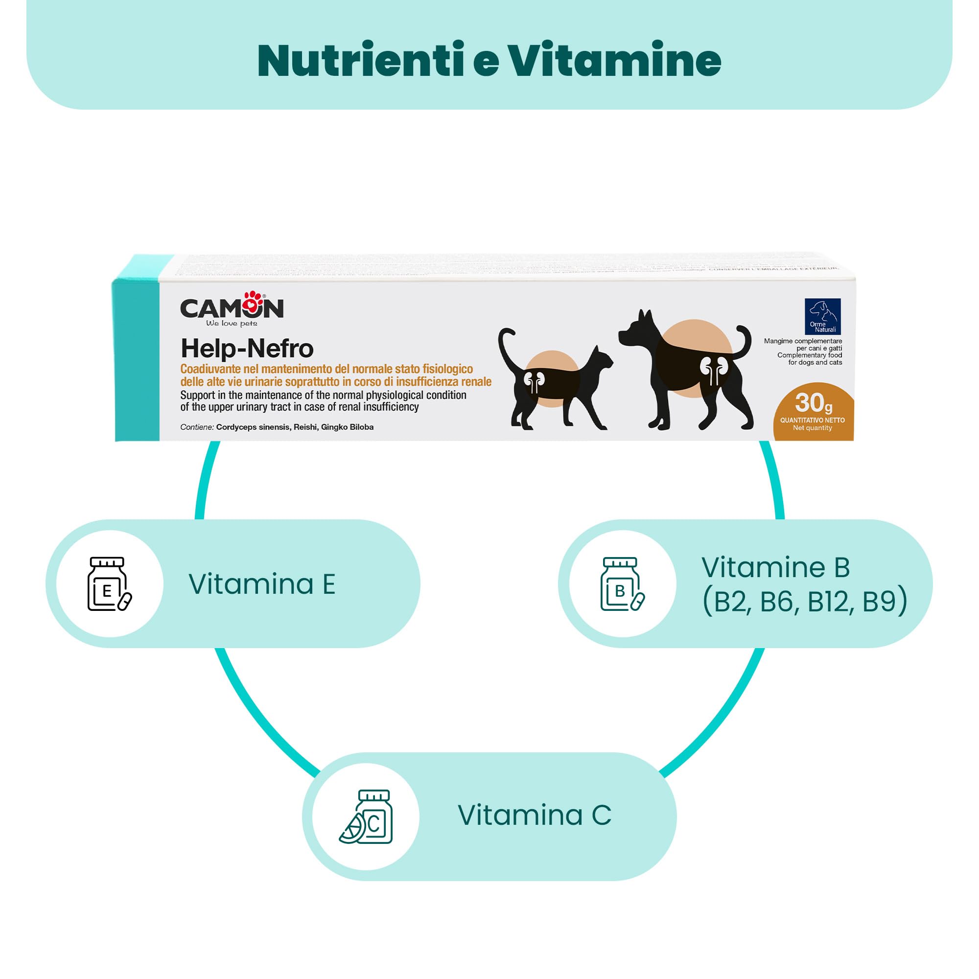 Camon Help-Nefro Pasta 30 g per Vie Urinarie