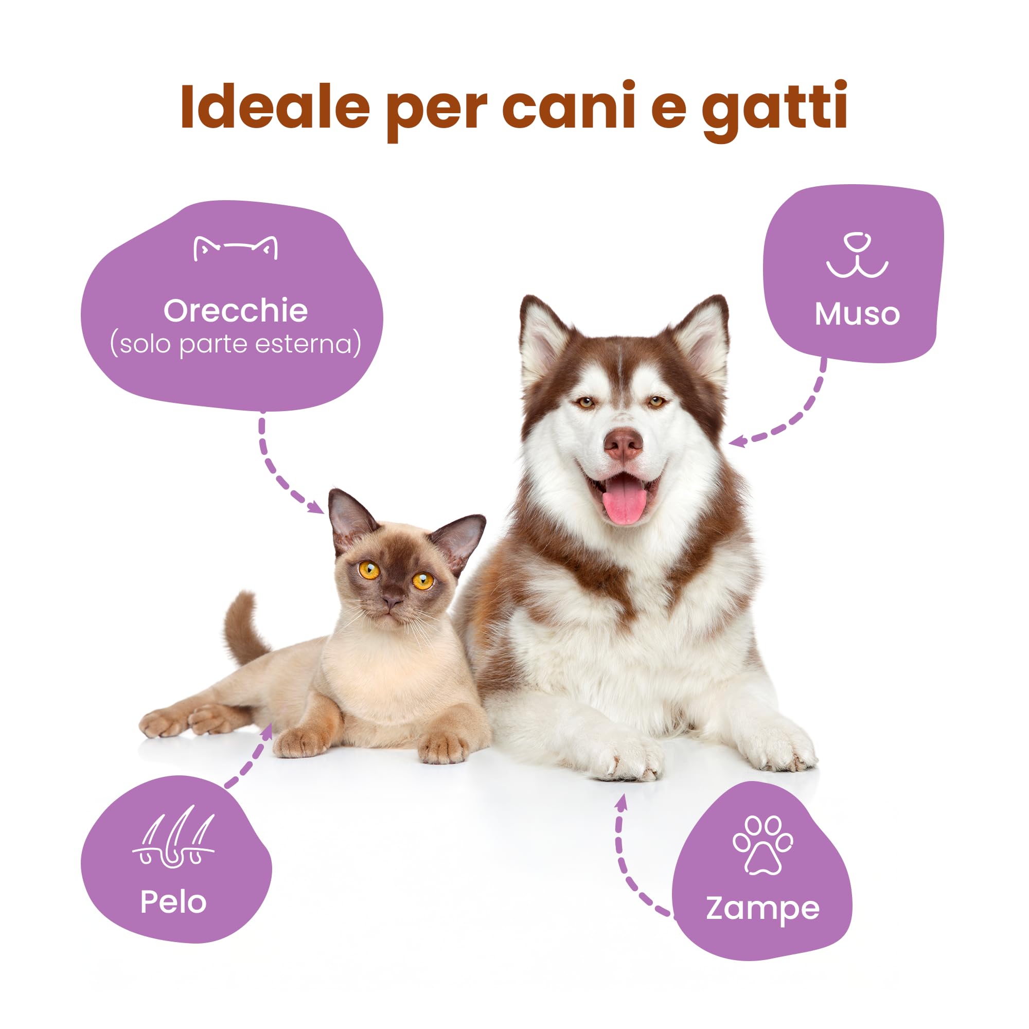 Camon Protection Salviette Detergenti Latte e Miele 100 Pezzi