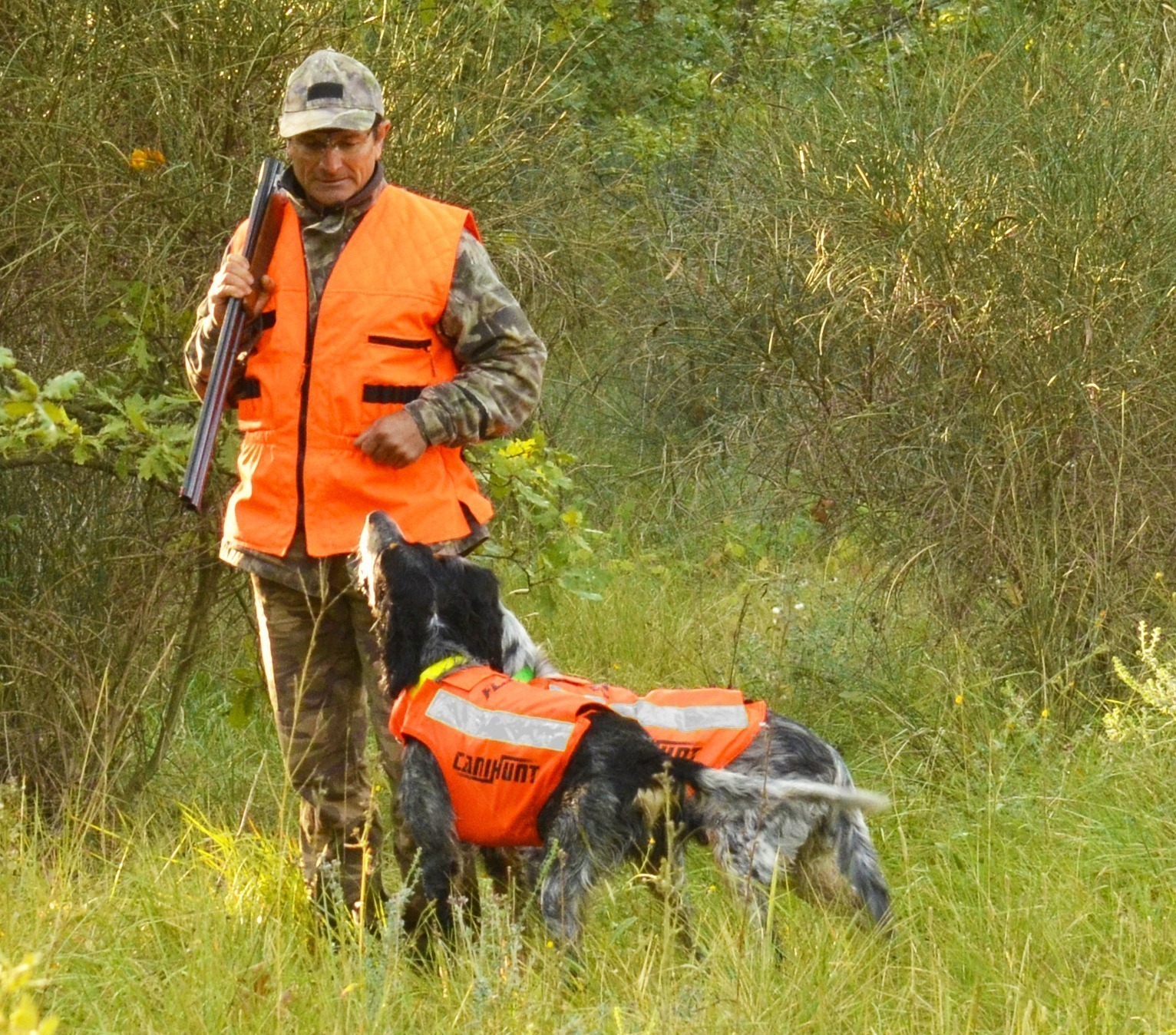 Canihunt Flash V2 gilet segnaletico per cani arancione