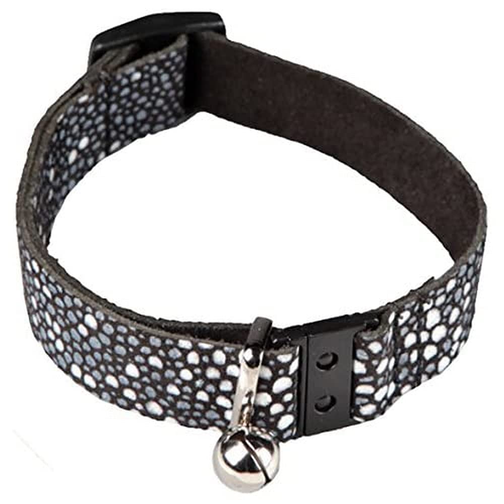Arppe Sturgeon 230222025505 collare gatto pelle storione