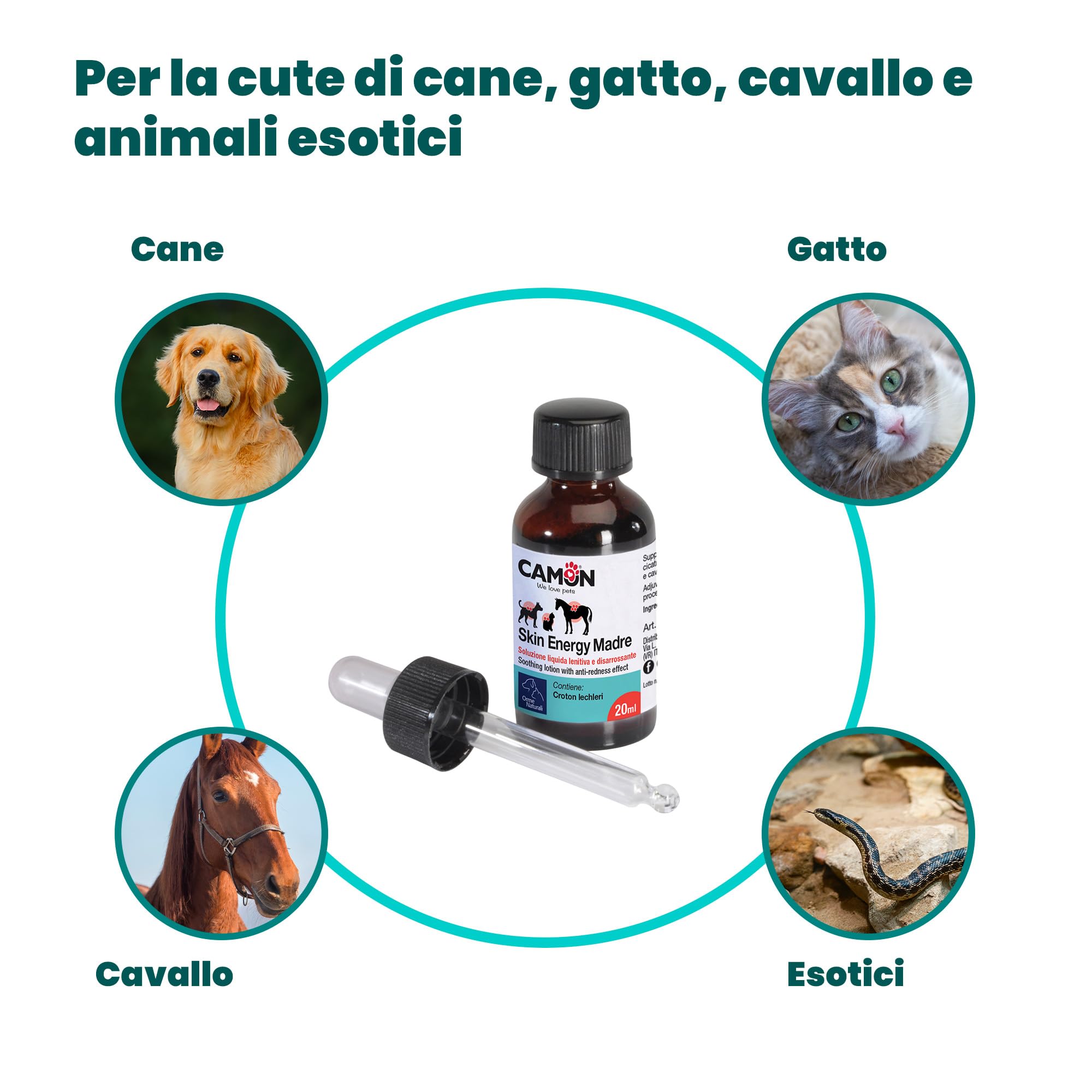 Camon Skin Energy Madre Cicatrizzante Ferite 20 ml Sangue di Drago