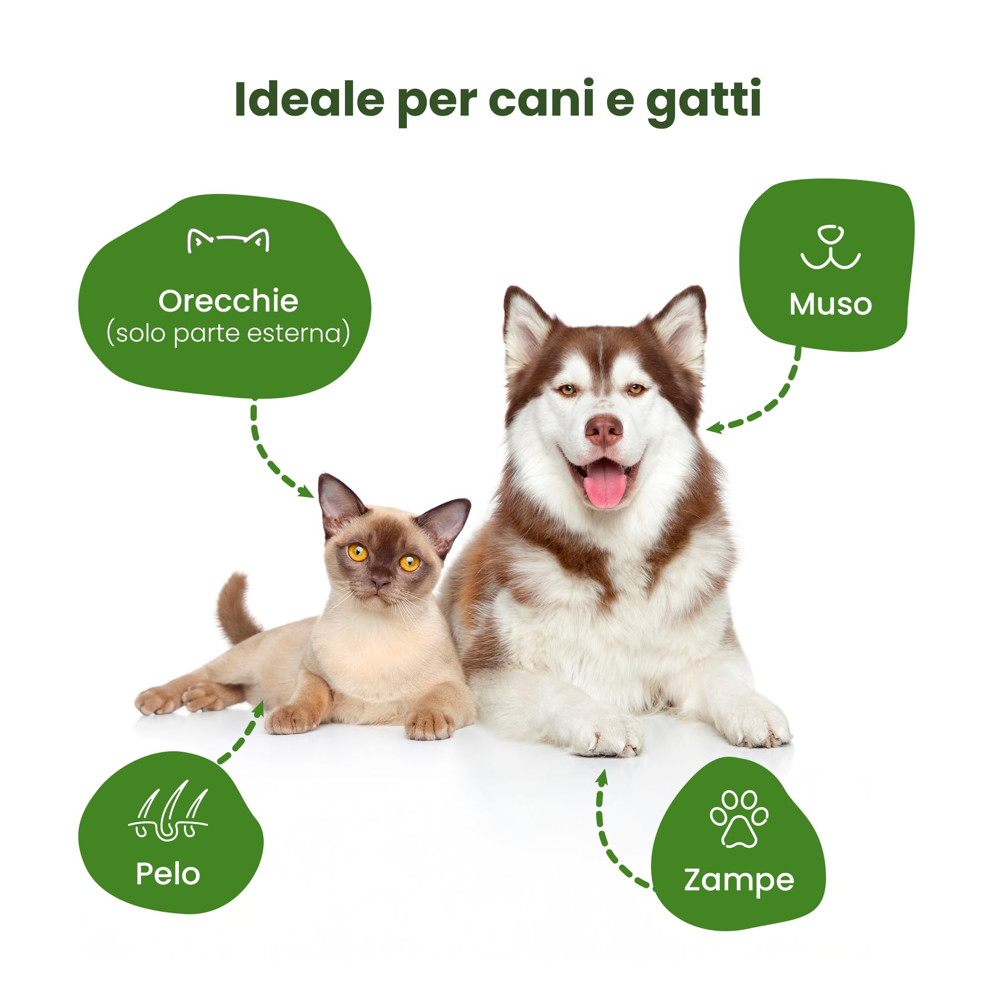 Camon salviette detergenti cani e gatti neem 40 pezzi
