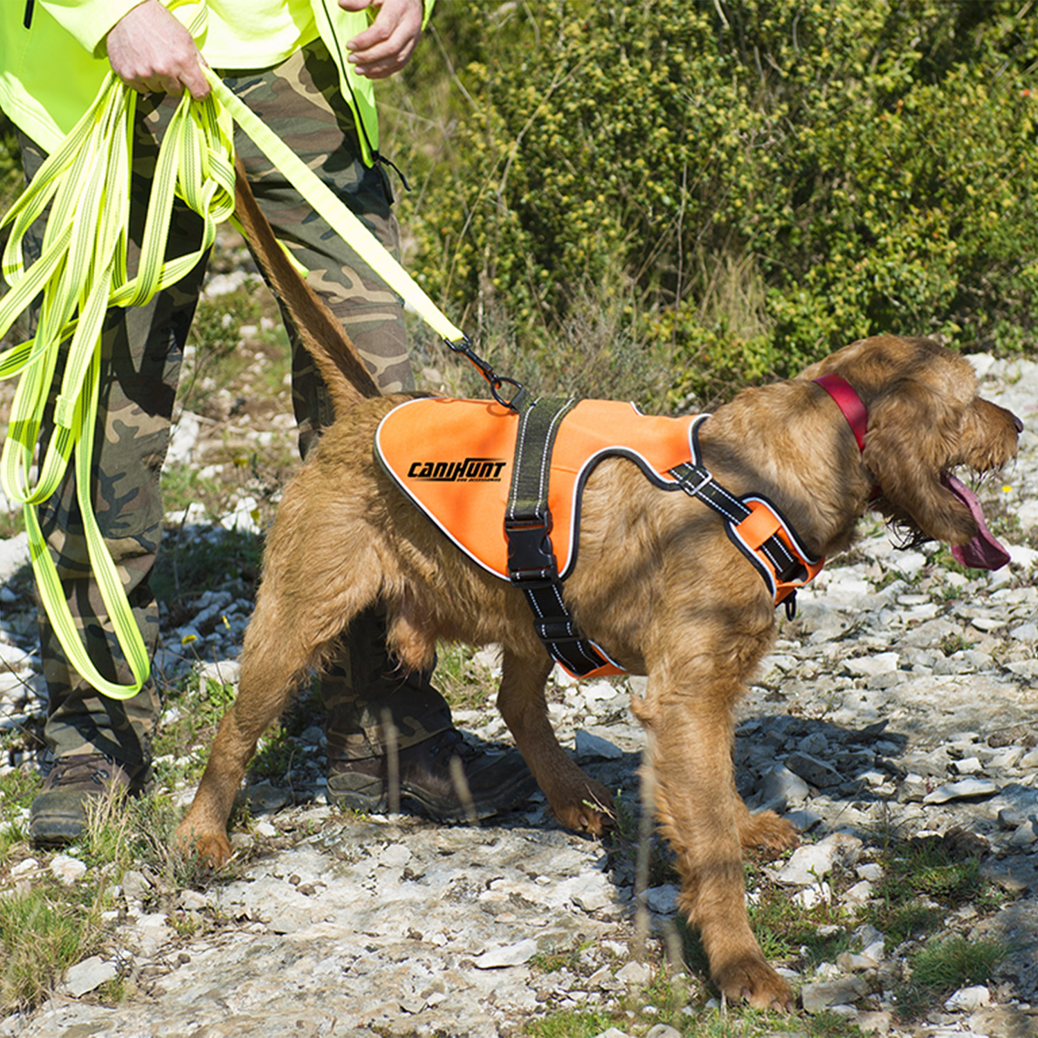 Canihunt Signal pettorina cane arancione riflettente anti-trazione