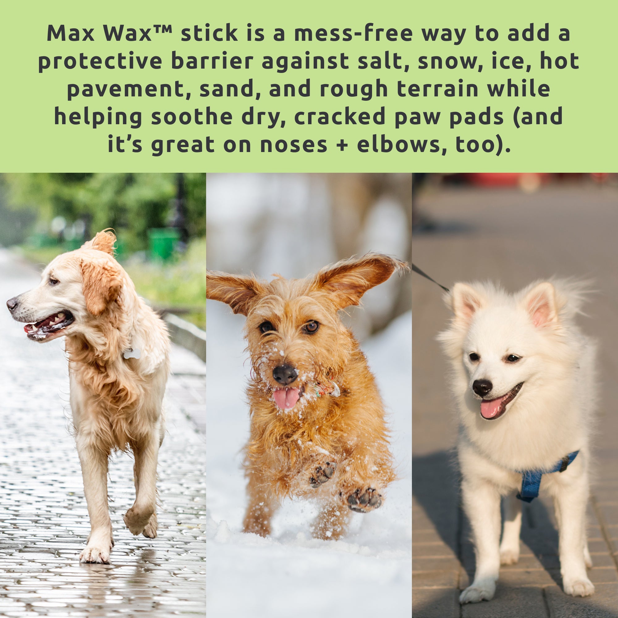 PawZ SaniPaw Max Wax kit cura zampe viaggio salviette+balsamo