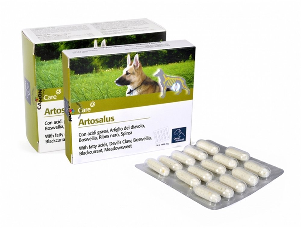 Camon Artosalus Mangime Complementare 60 Compresse