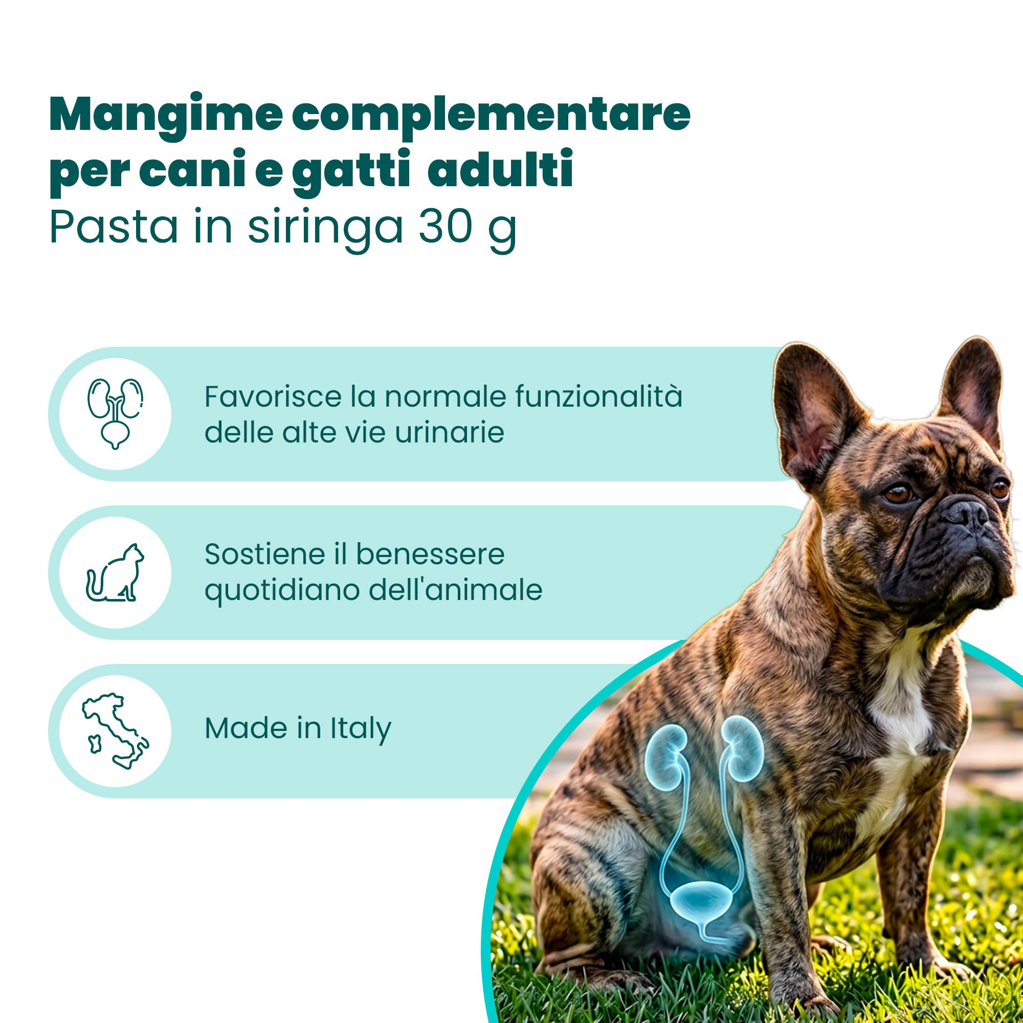 Camon Help-Nefro Pasta 30 g per Vie Urinarie