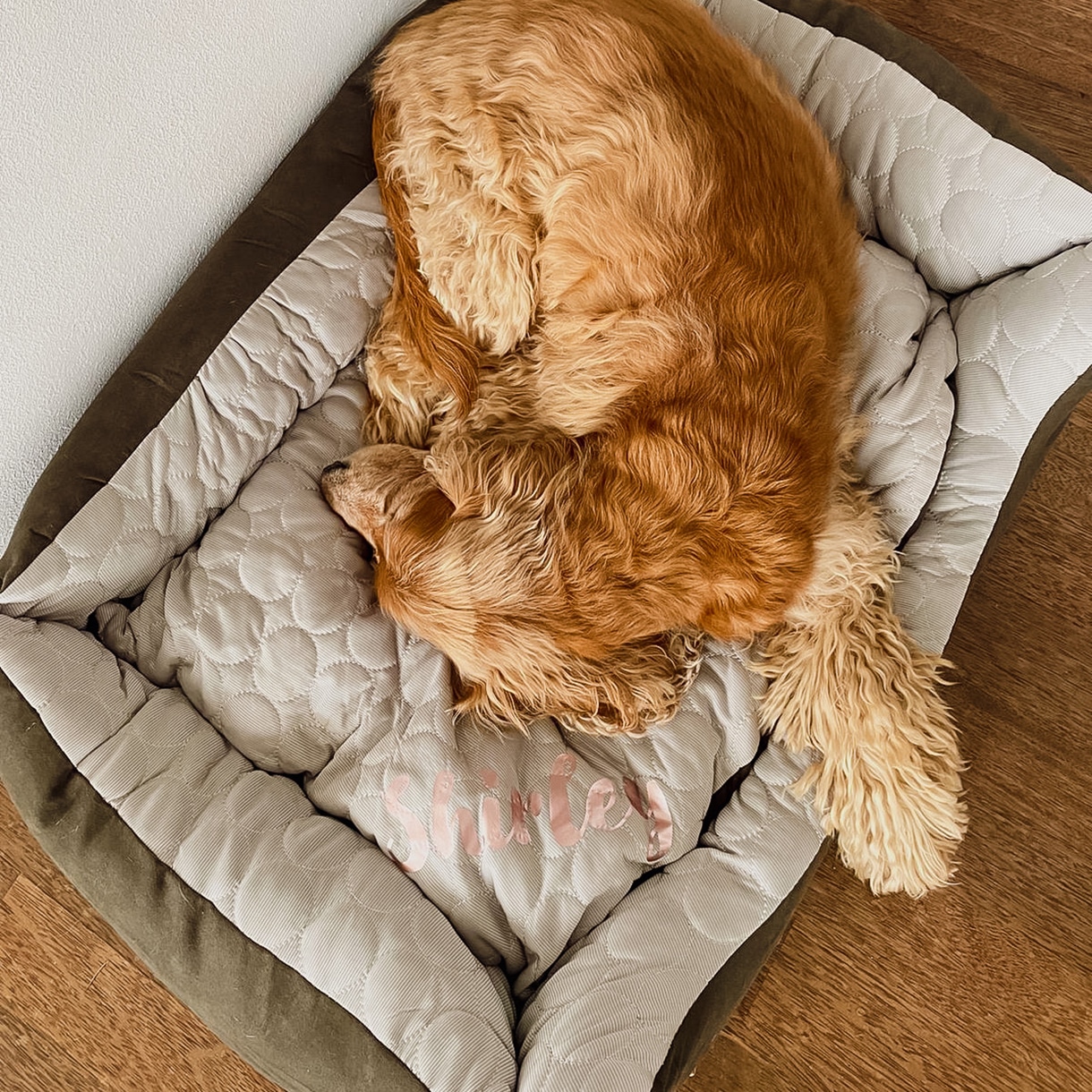 Ne&No Cuccia Reversibile Personalizzata Letto Cane Gatto Nome