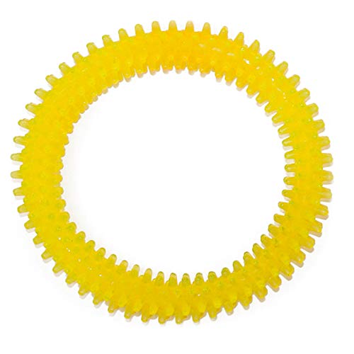 Arppe Cerchio Denti gioco anello PVC 12 cm per cani