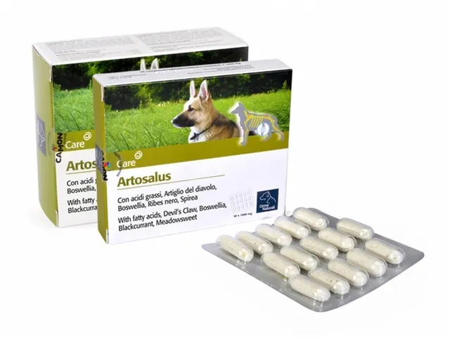 Camon Artosalus Mangime Complementare 60 Compresse