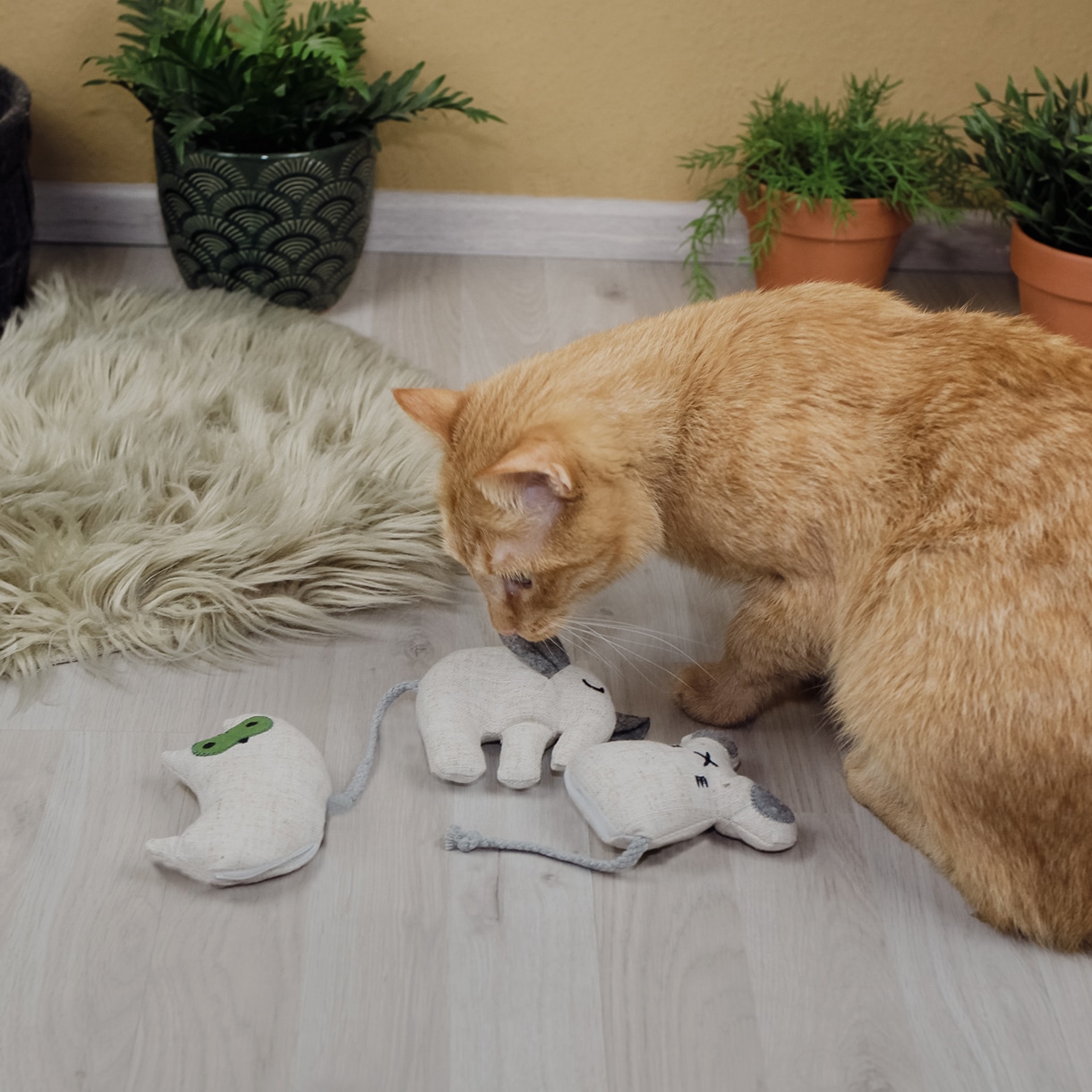Ne&No Giocattolo per Gatti Erba Gatta Set 3 Pezzi in Lino